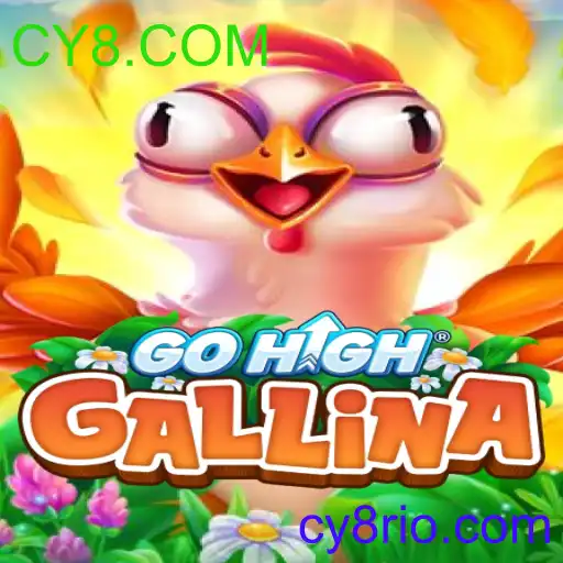 GoHighGallina